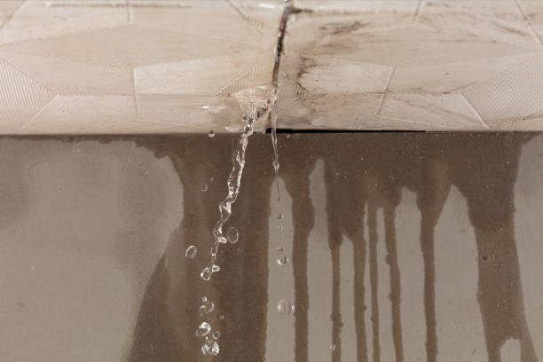 Professional Water Extraction technician working in Corea, ME